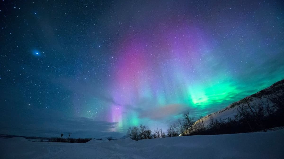 Watch the Northern Lights - Image 3