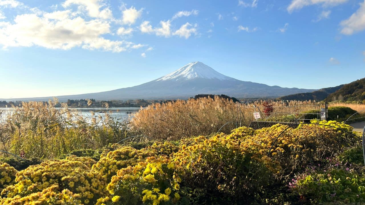 See Mount Fuji from Lake Kawaguchi - Image 2