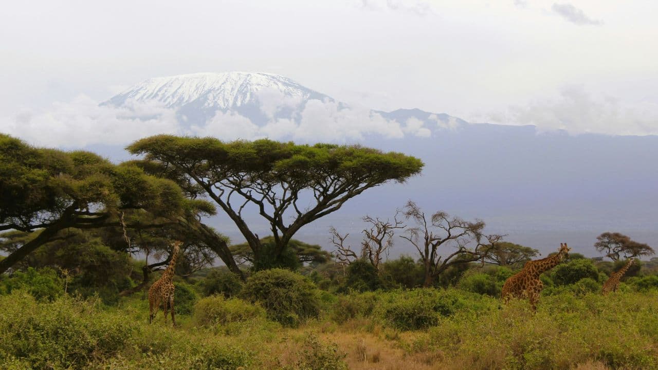 Climb Mount Kilimanjaro