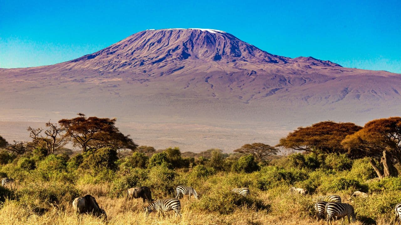 Climb Mount Kilimanjaro - Image 2