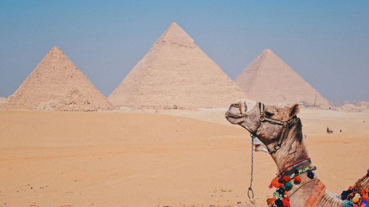 Experience the Pyramids of Giza