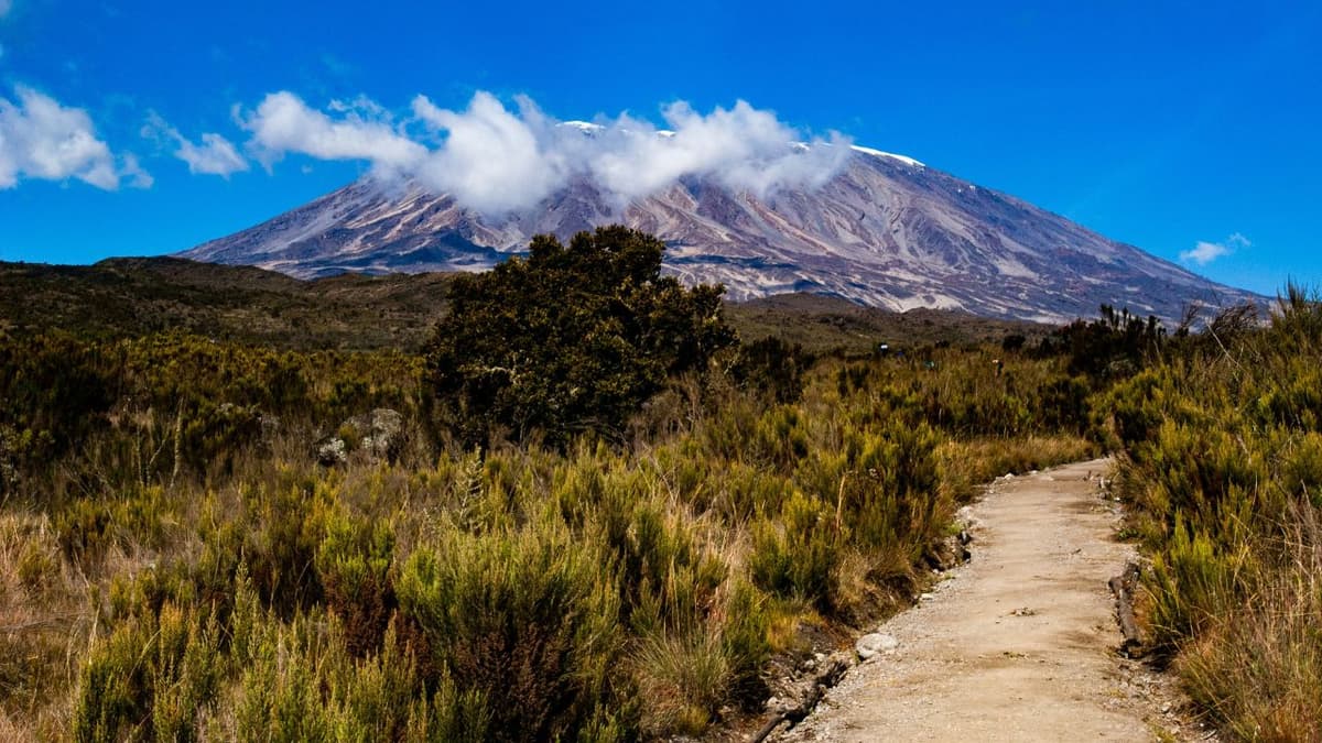 Climb Mount Kilimanjaro - Image 3