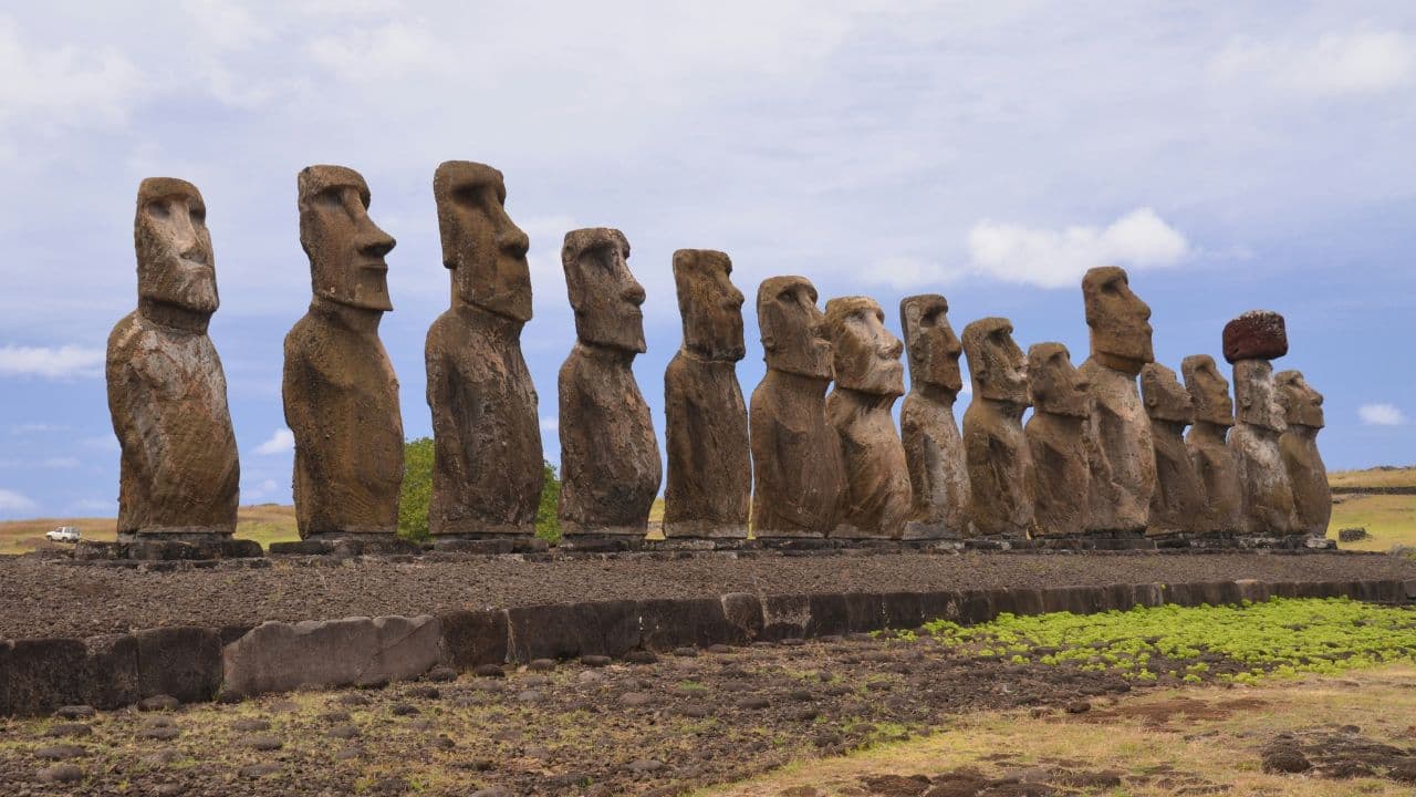 See the Moai of Easter Island